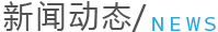 动态 动态